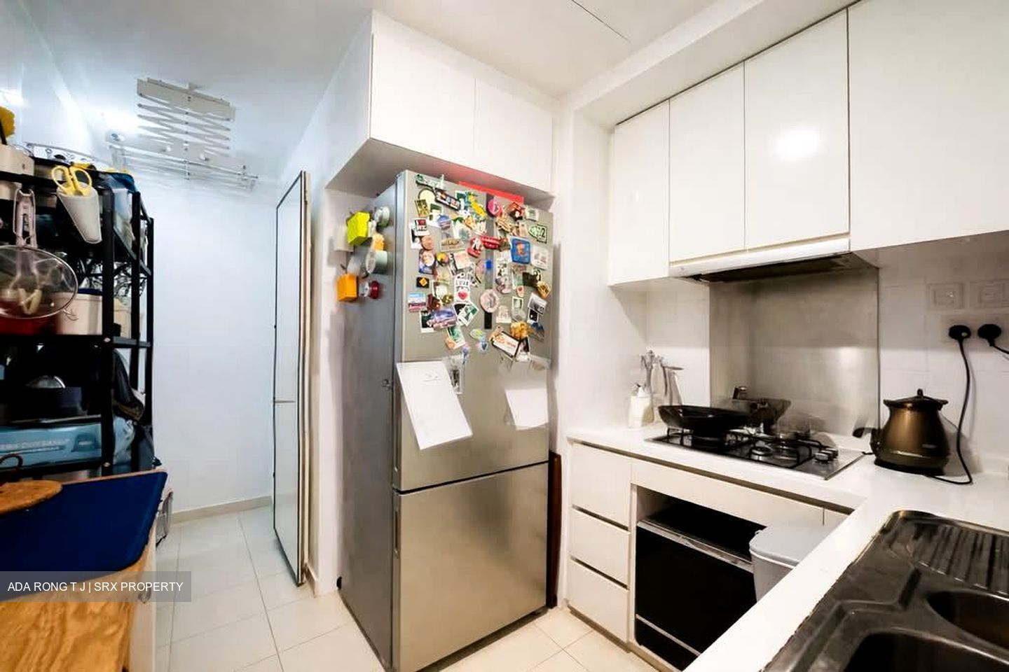 Oasis @ Elias (D18), Condominium #544924921